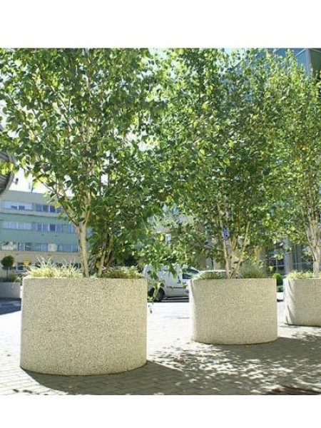 Вазон бетонный для цветов и деревьев Палермо.